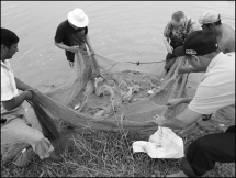 pond fisheries