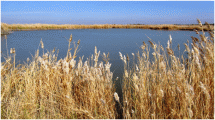 Lake in Uzbekistan