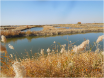 uzbekistan_pilotfarm